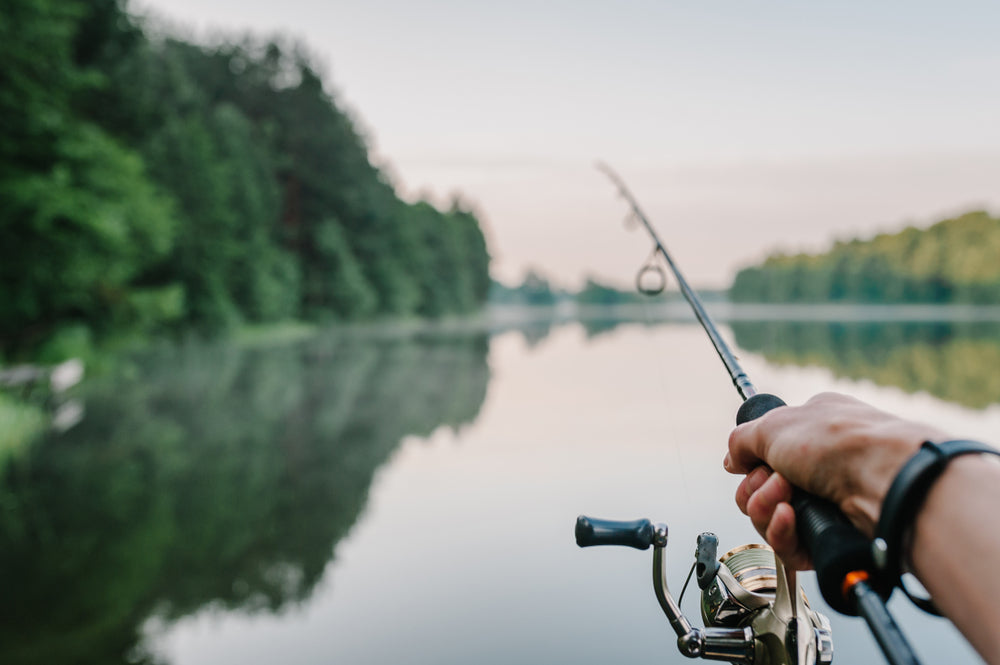 Collections – Zack's Custom Rods, LLC